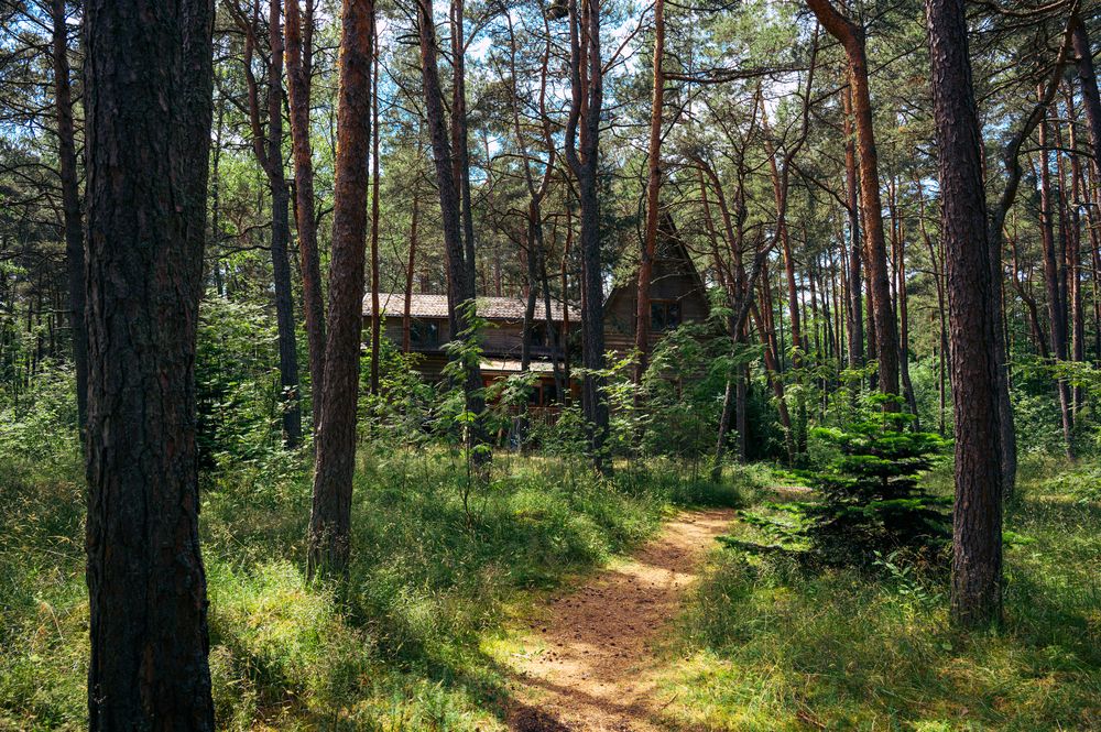 Photograph by Аверина Елена