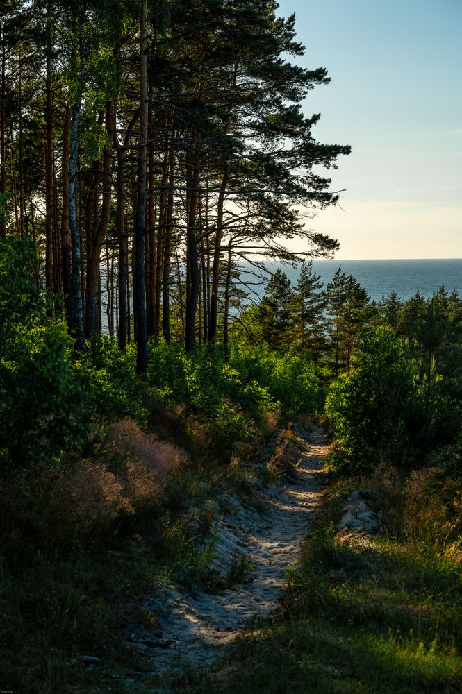 Photograph by Аверина Елена