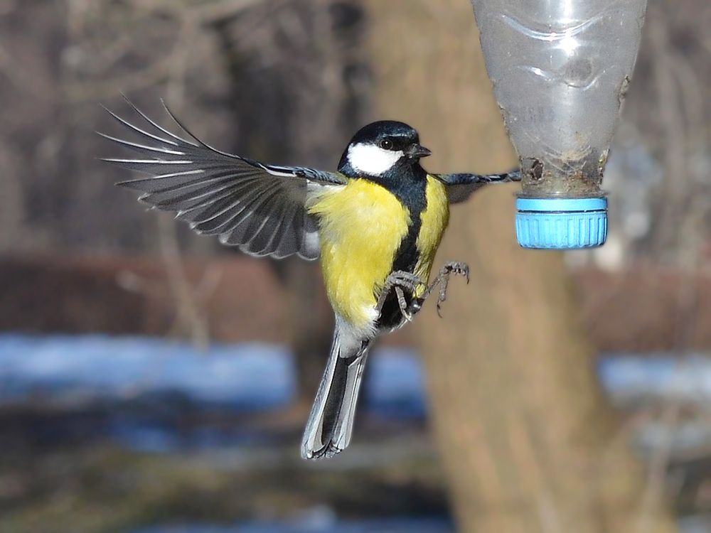 Photograph by Константин Мишнаевский