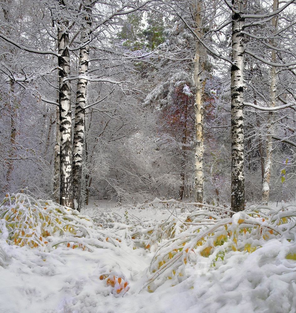 Photograph by Искандар Газизов