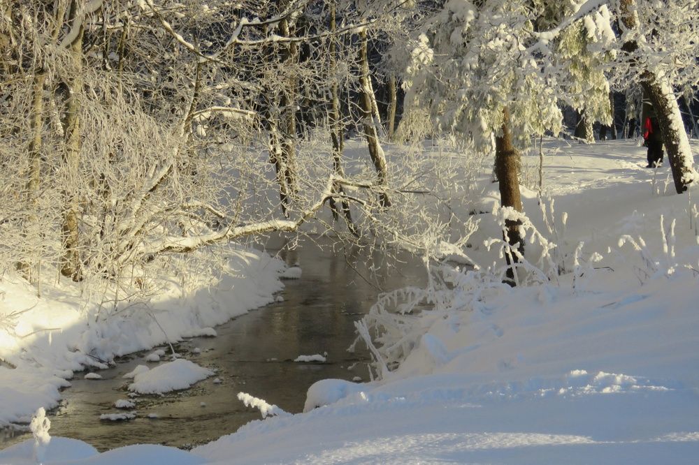 Photograph by Валерия Яскович