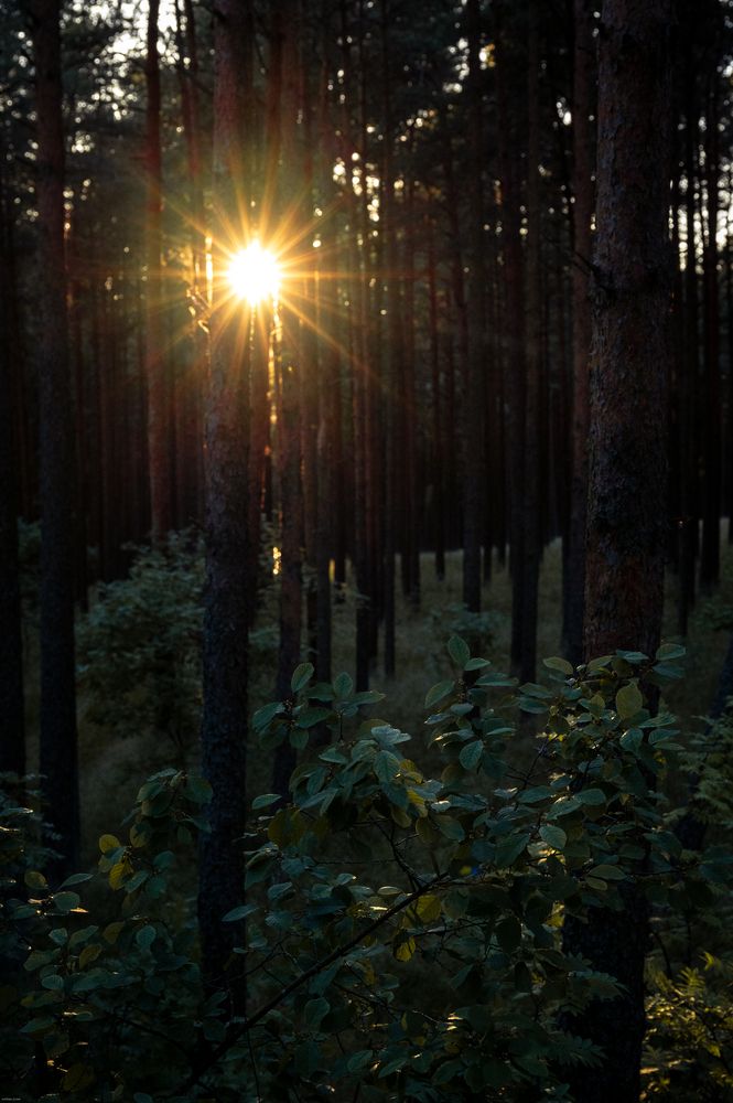 Photograph by Аверина Елена