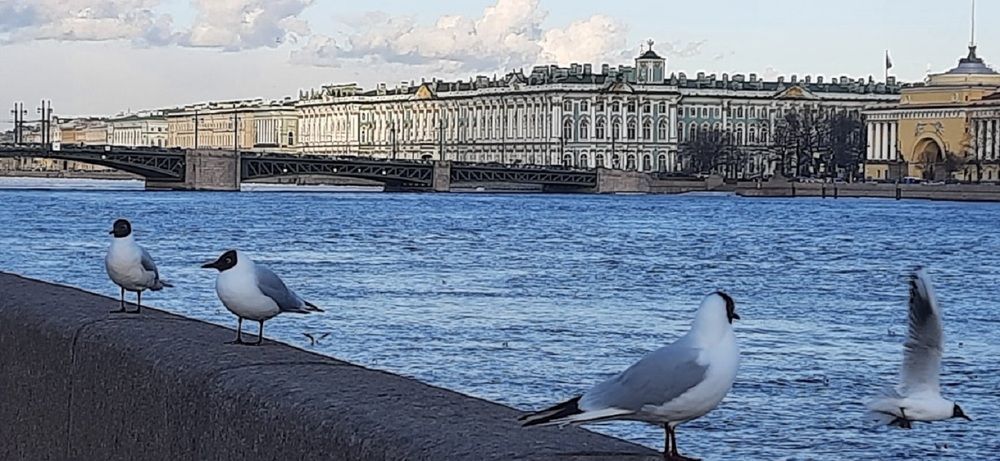 Не Вы, не Вы, увы, не Вы внимали музыке Невы