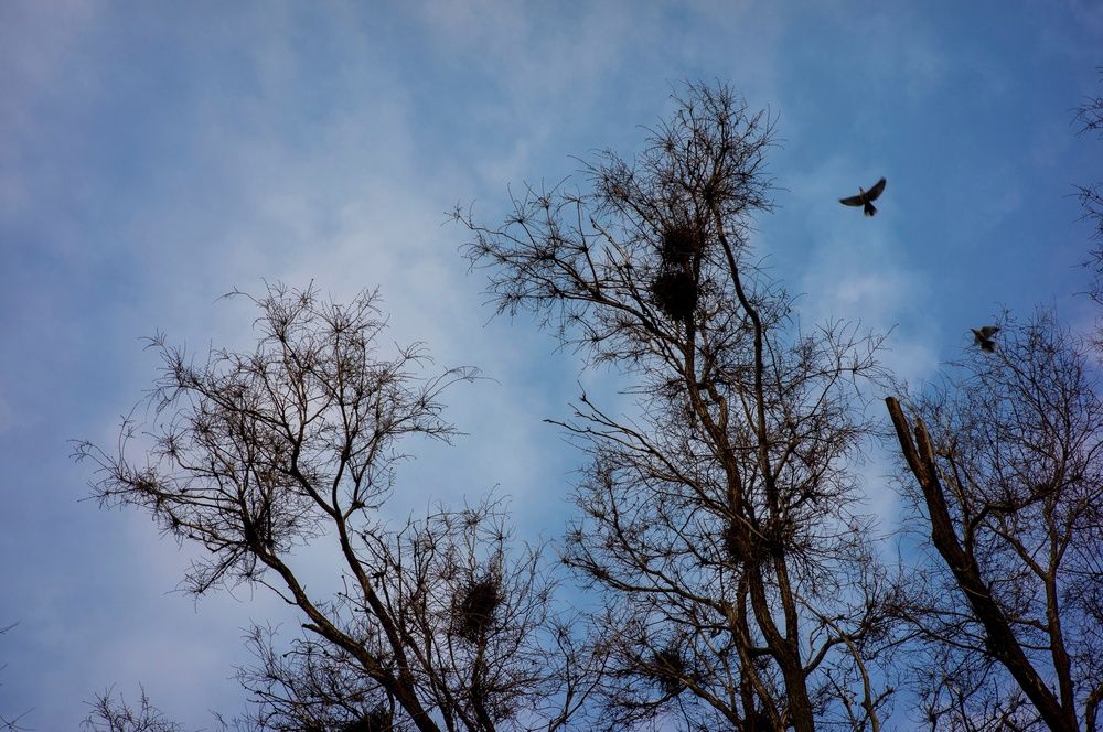 Photograph by Крупченко Роман