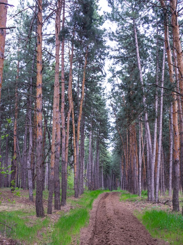 Photograph by Сергей Гибков