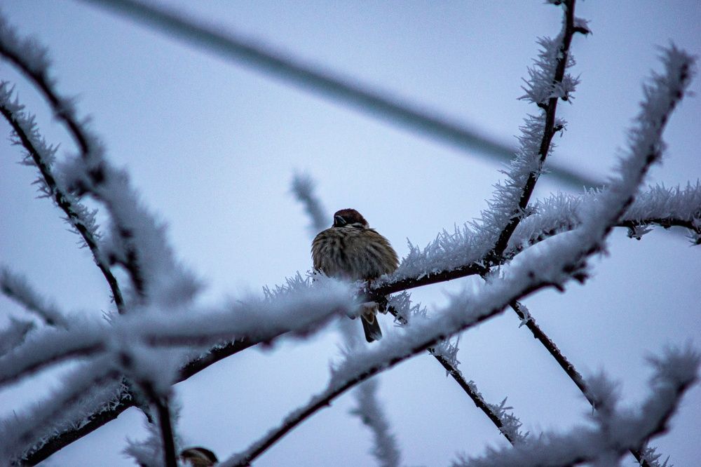 Photograph by Крупченко Роман