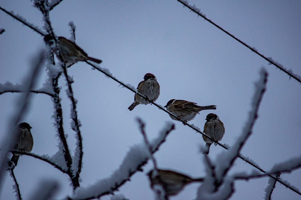 Photograph by Крупченко Роман