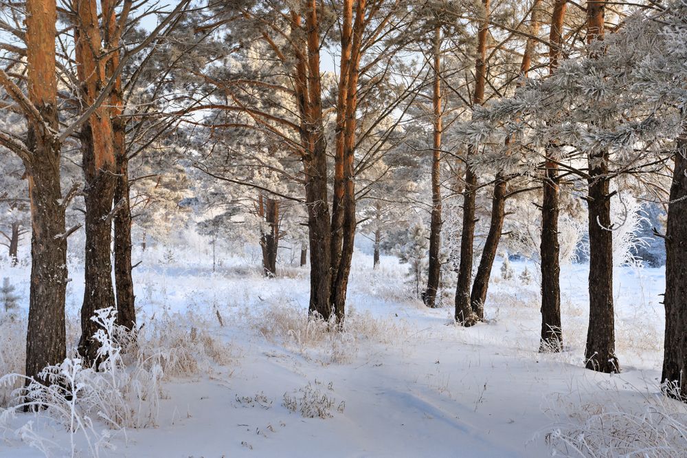 Photograph by виктор ковчин