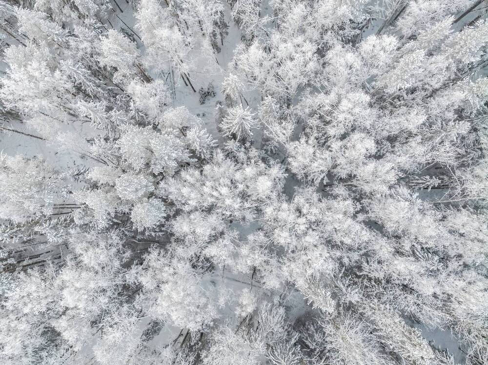 Photograph by Kozionov Pavel