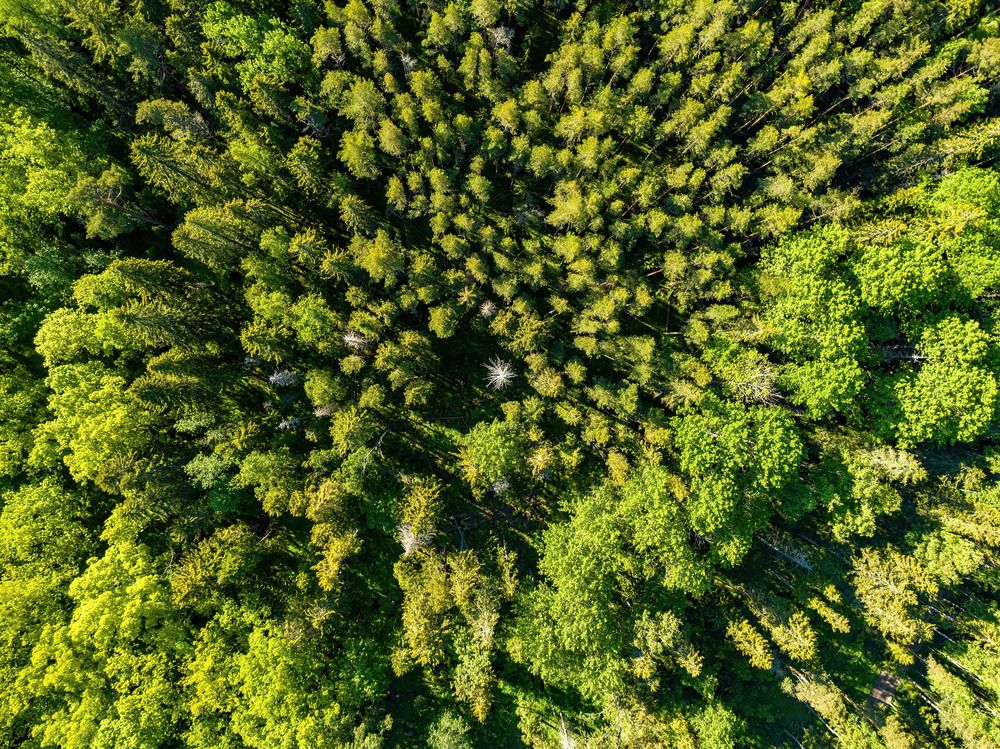 Photograph by Kozionov Pavel