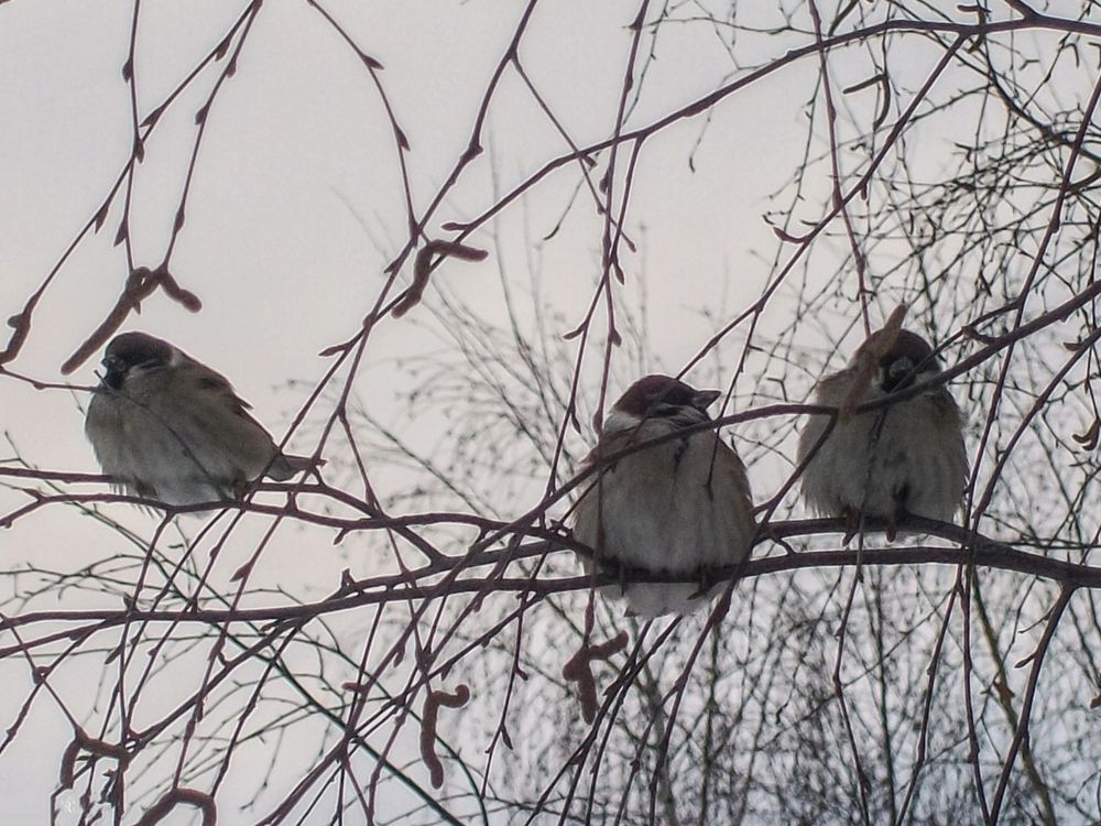 Photograph by Евгения Роде