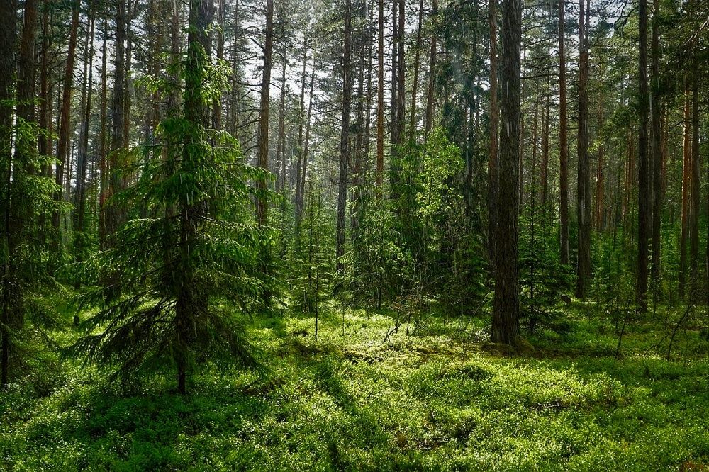 Photograph by Марина Безенкина