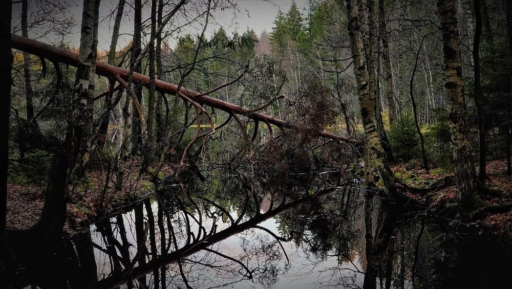 Photograph by Марина Безенкина