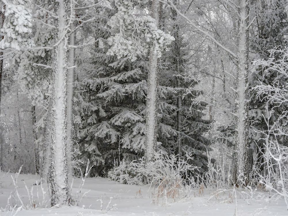 Photograph by Kozionov Pavel