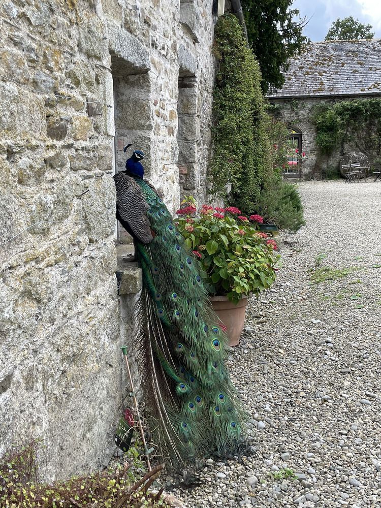 Photograph by Марина