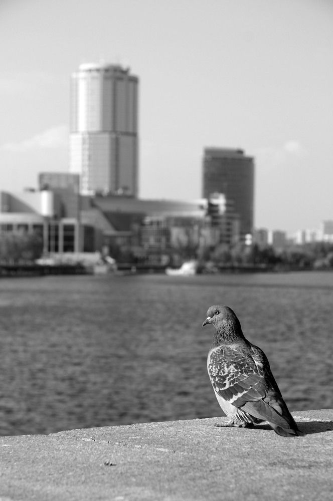 Photograph by Марина