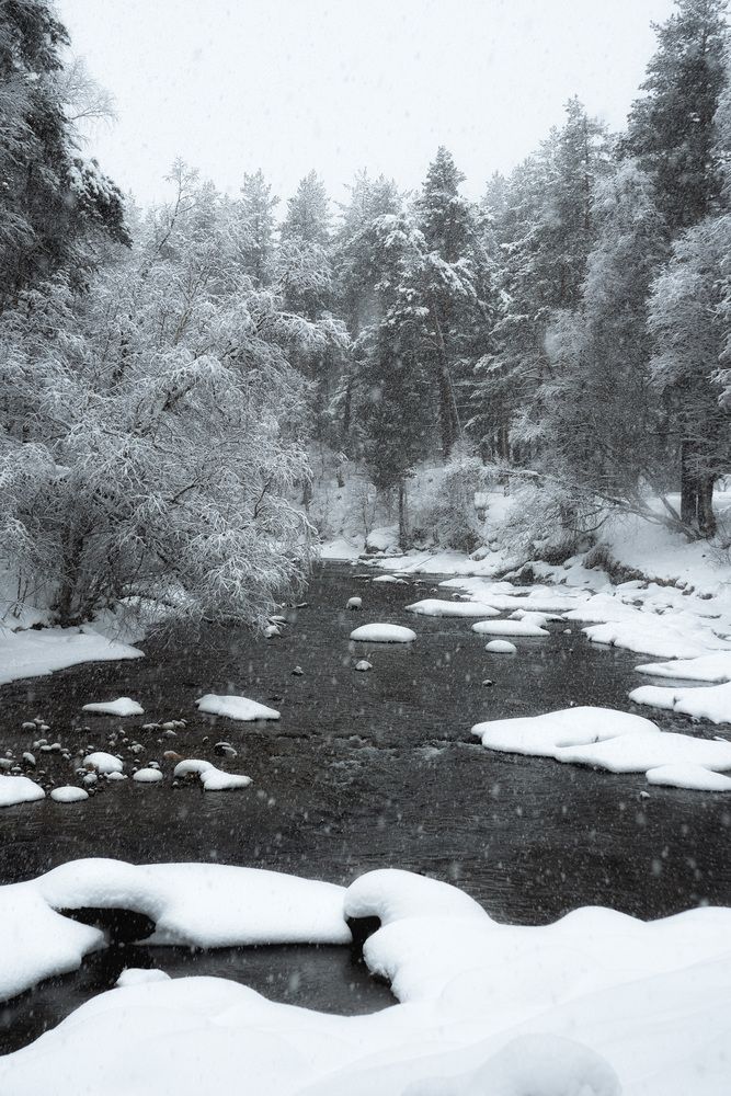 Фотография автора Petrova Anastasia