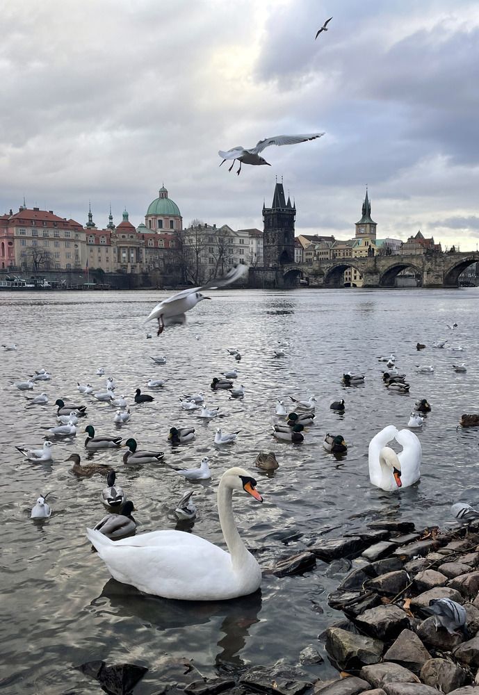 Photograph by Марина