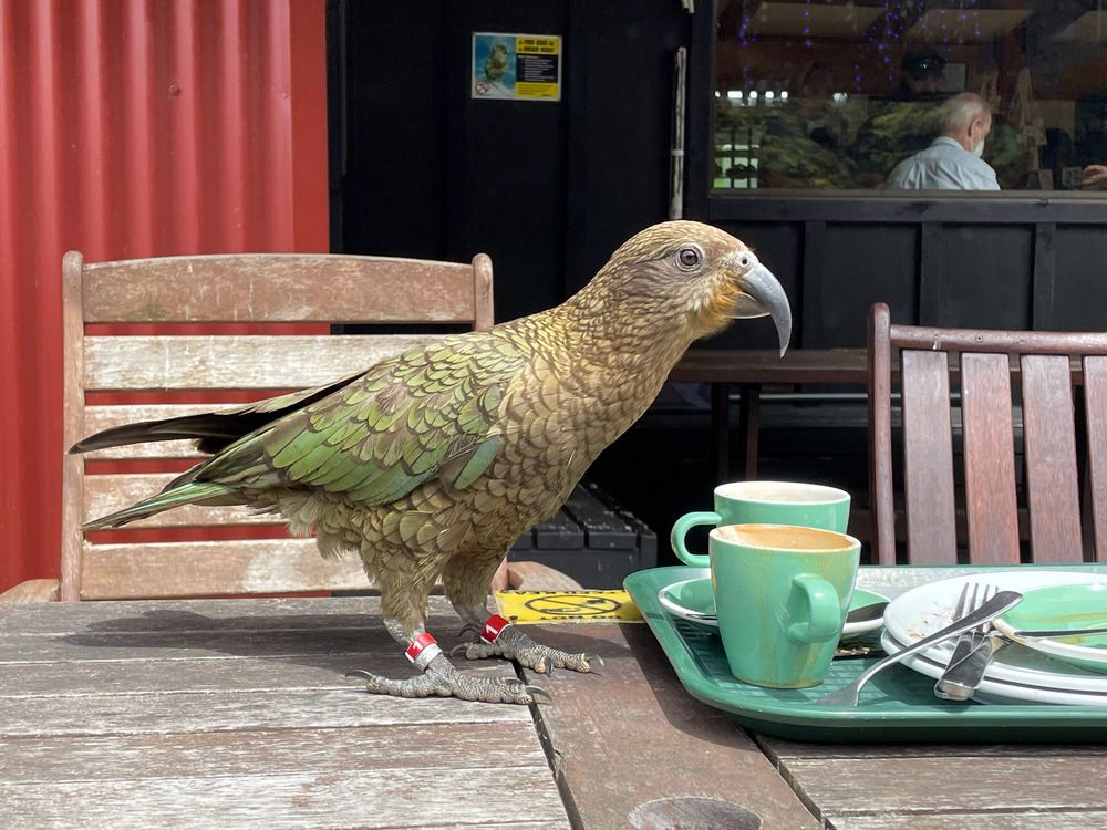 Photograph by Марина