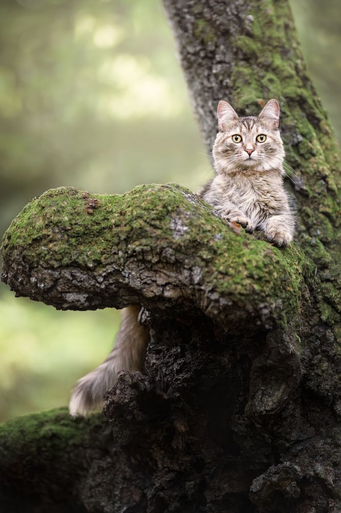 Photograph by Leticia Hernandez