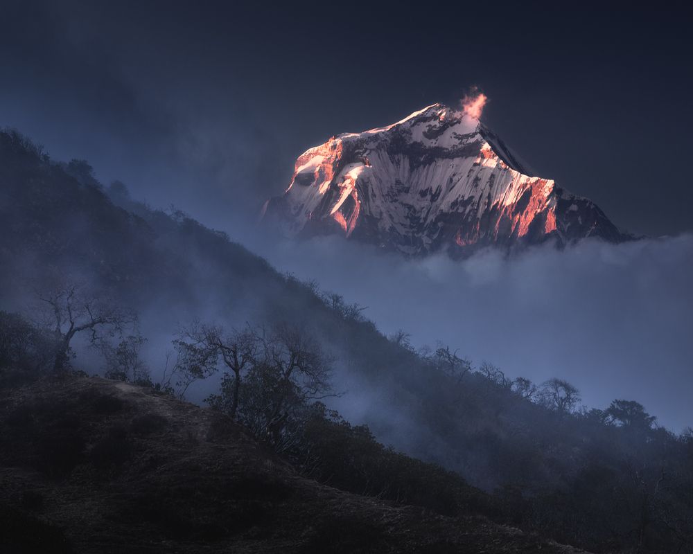 Photograph by Политова Анна