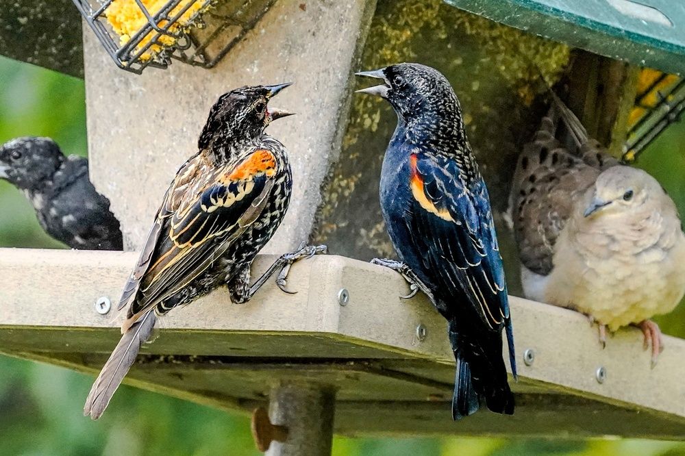 Photograph by Bulat Bayzuldin