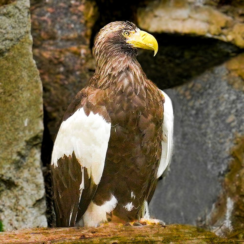 Photograph by Bulat Bayzuldin