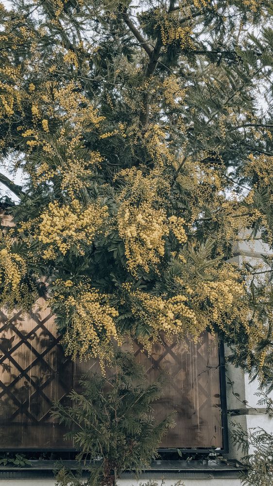 Photograph by Ирина Лузянина