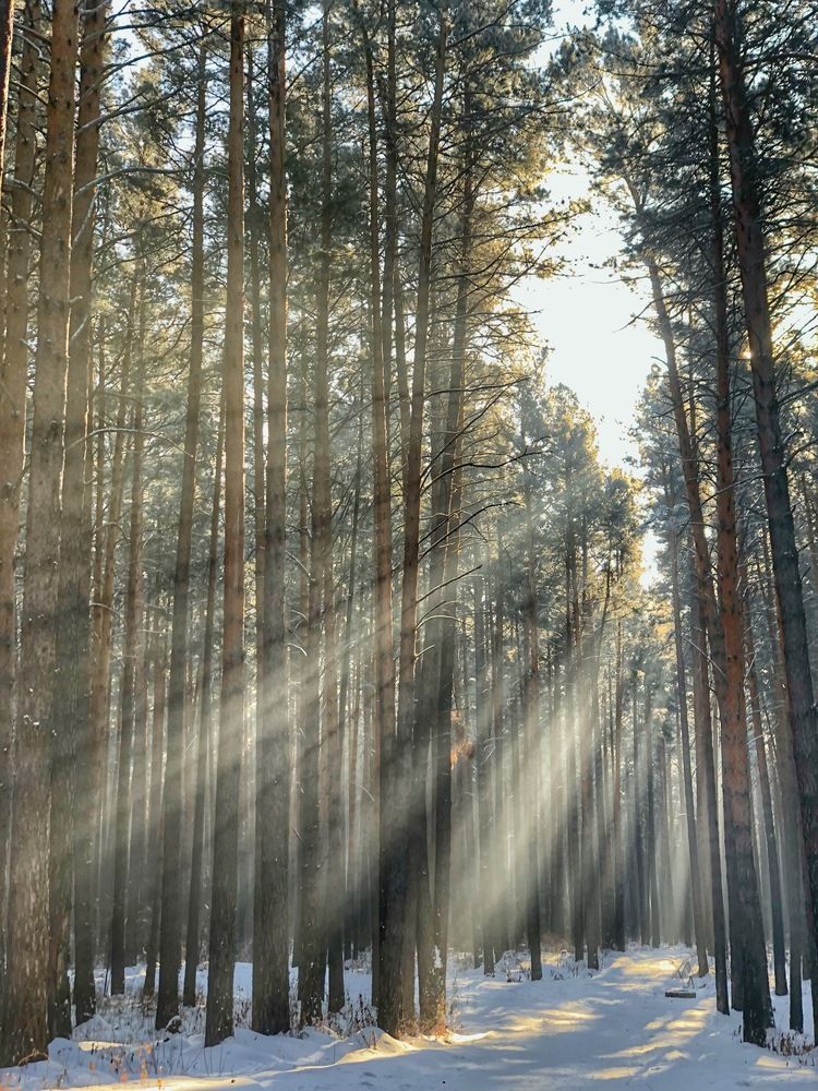 Photograph by Светлана Дмитриева