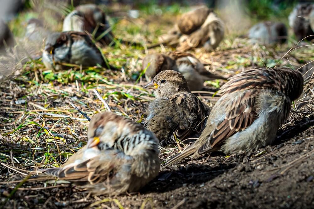 Photograph by Oleg Fedorov