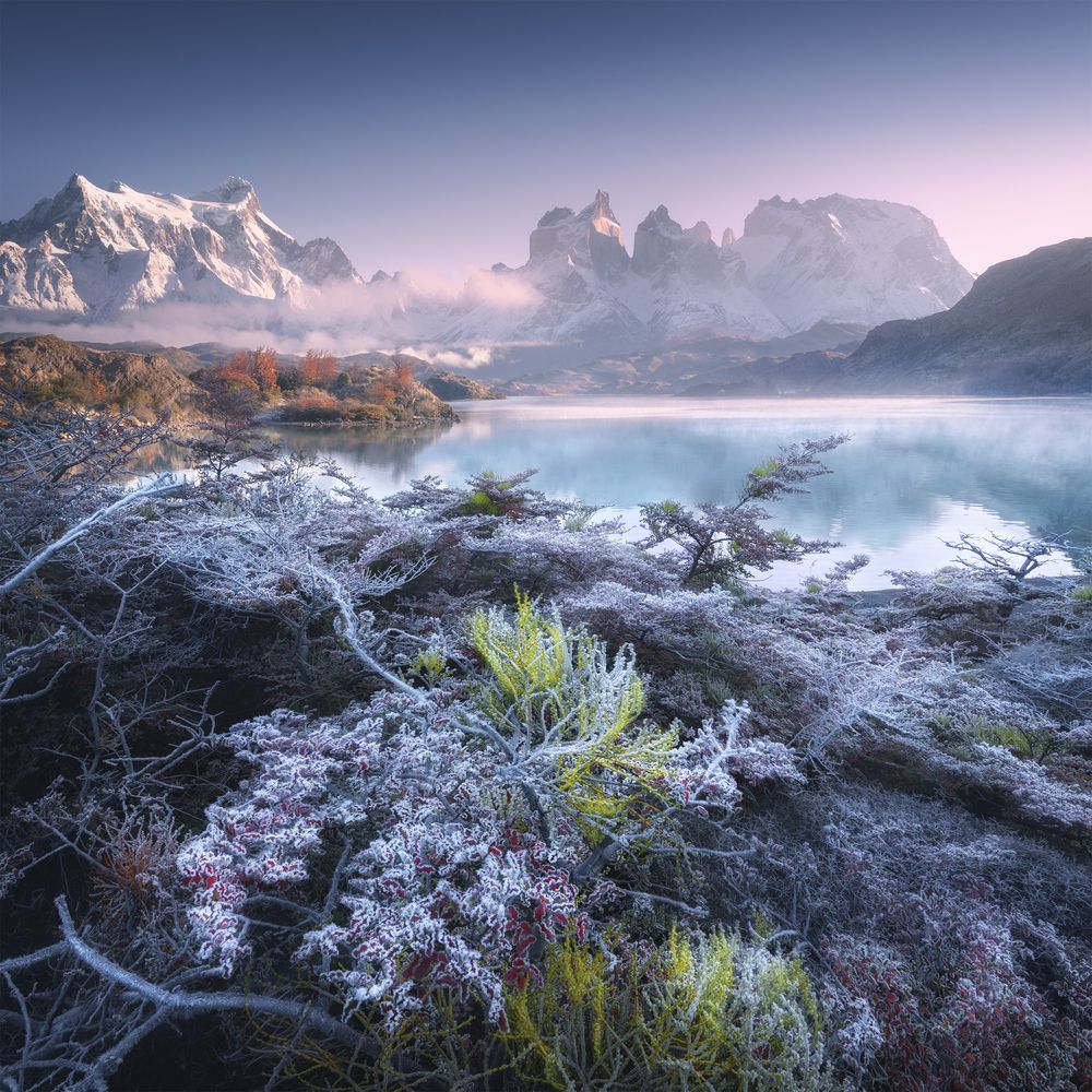 A frosty morning in Patagonia