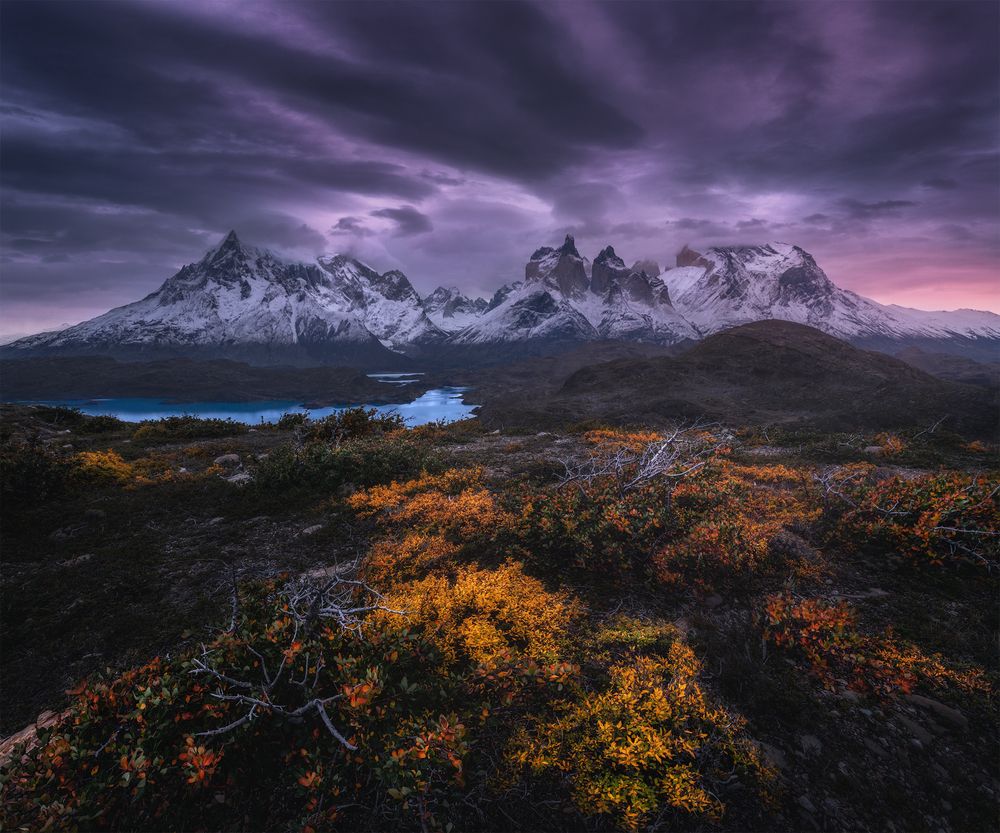 Fall Colors of Patagonia