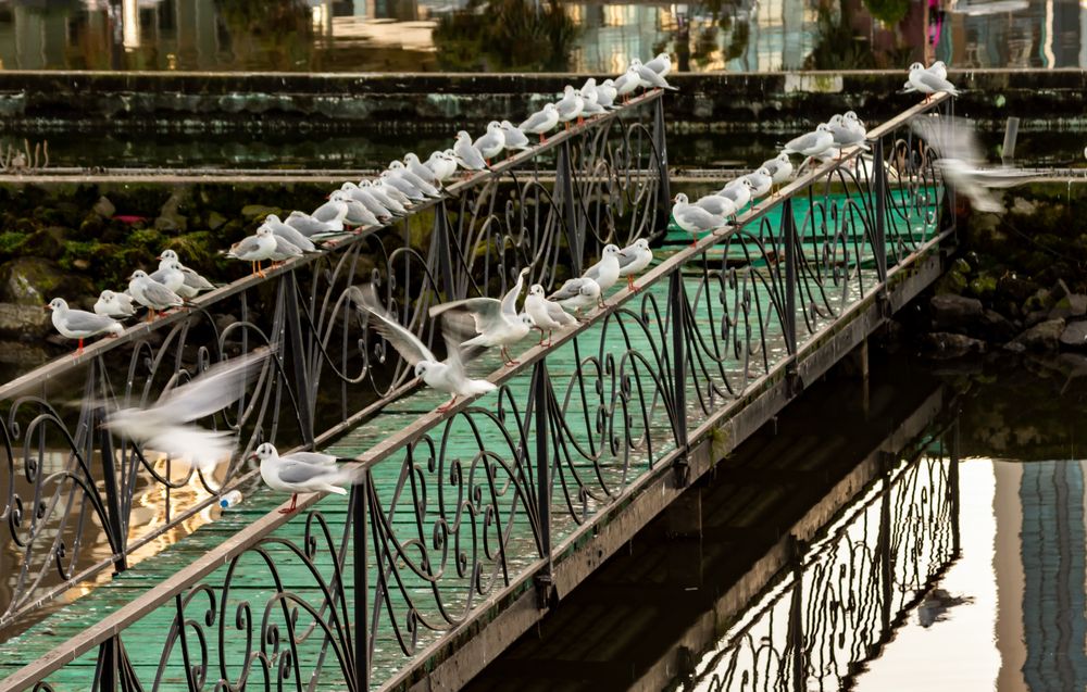 Photograph by Алексей Гуськов