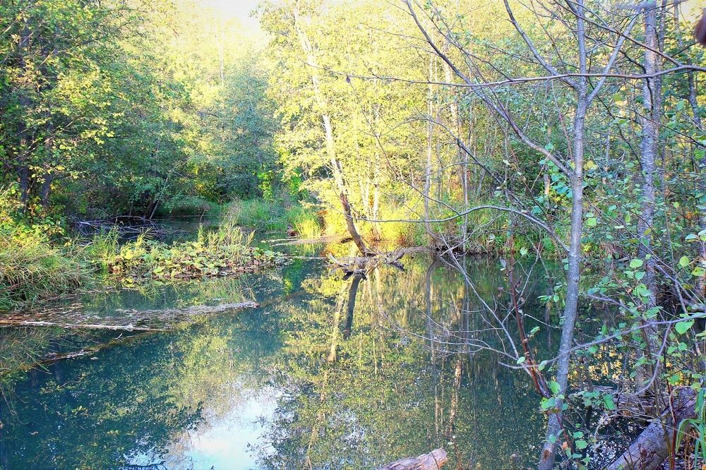 Фотография автора Ser P