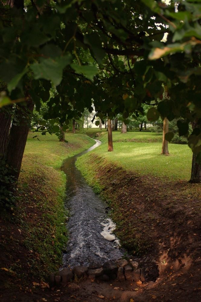 Photograph by Виктория Горельченко