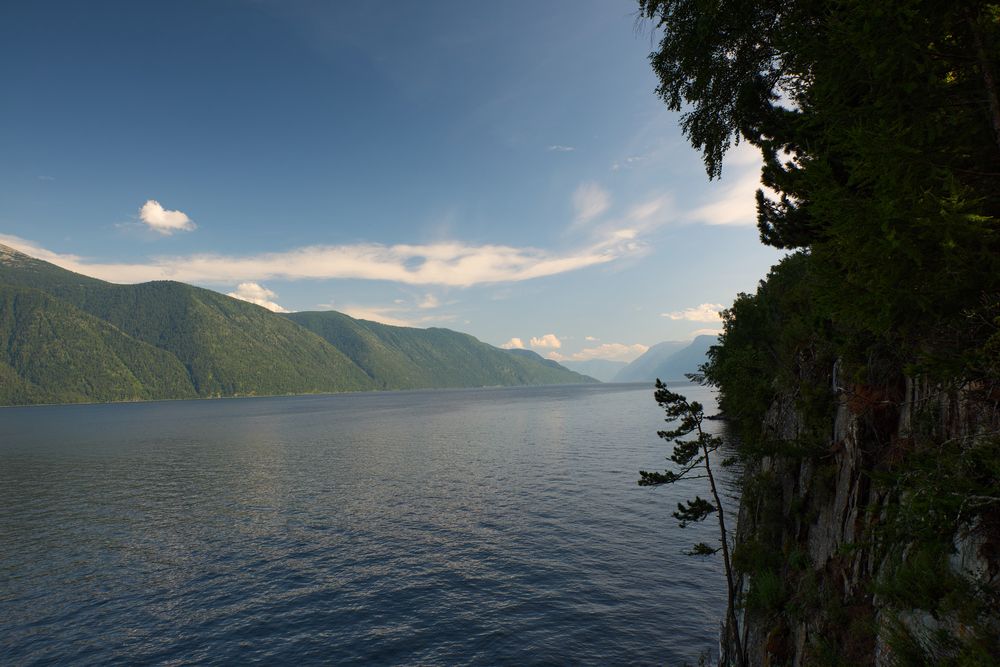 Фотография автора Георгий Муравьёв