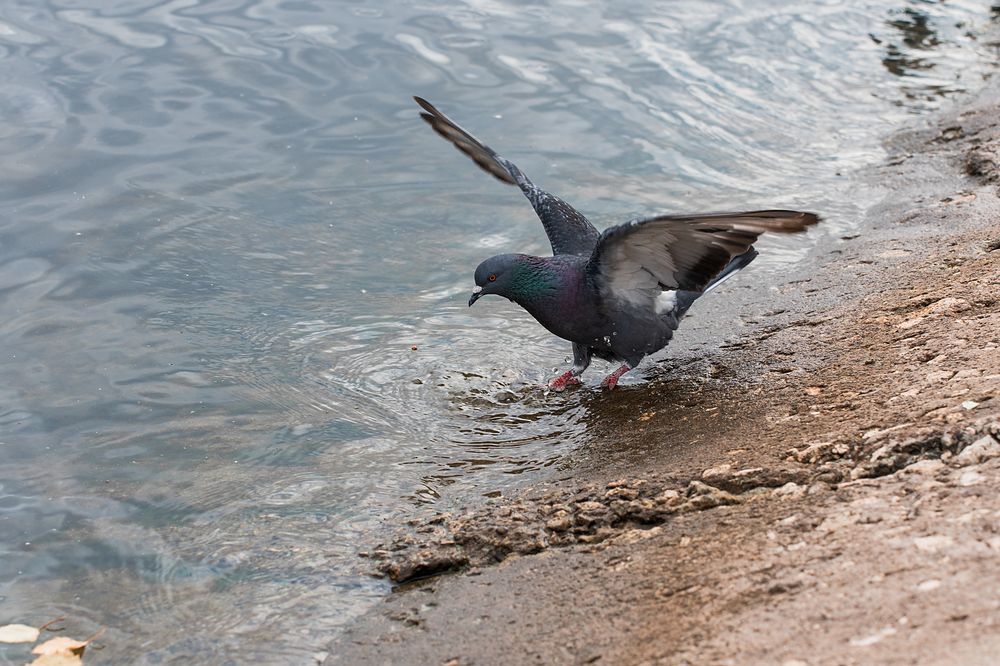 Photograph by Инесса Абрамова