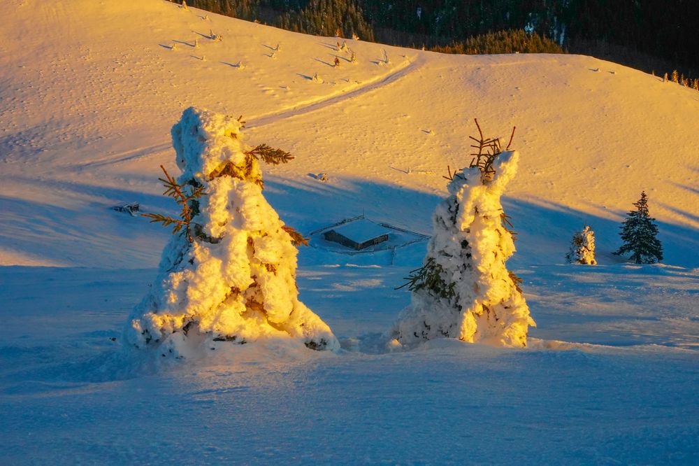 Photograph by George Catalin Serbu