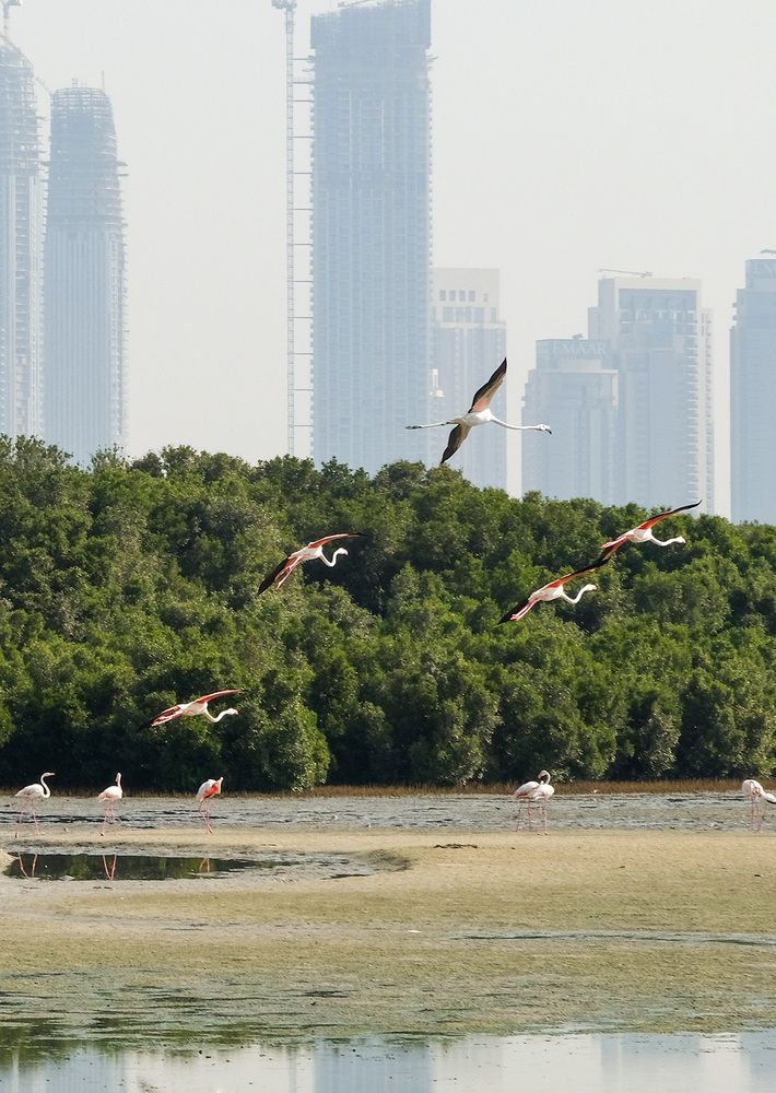 Фотография автора Наталья Липовская