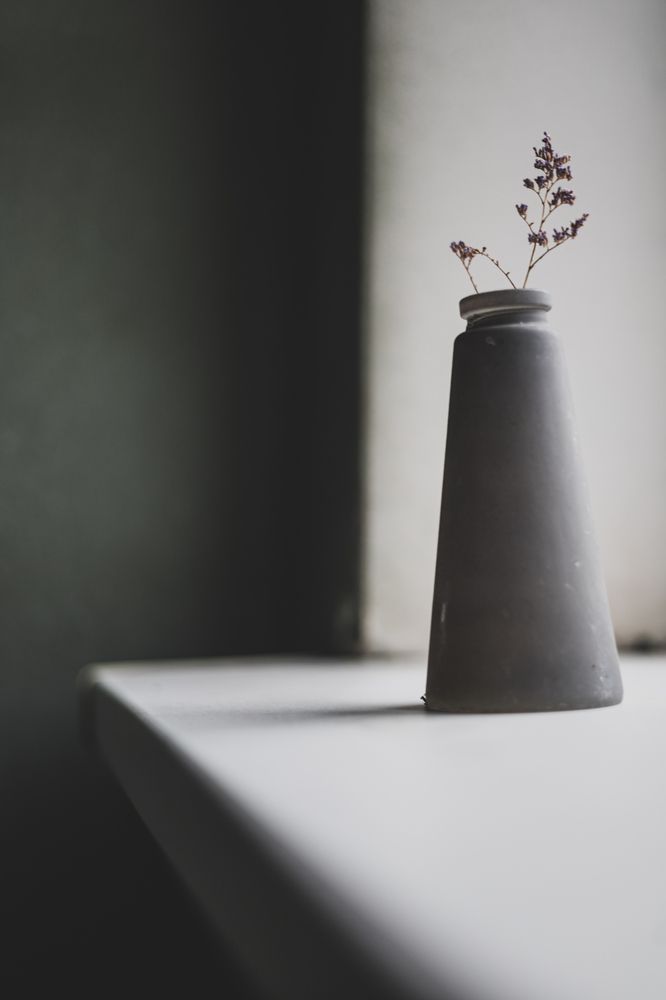 Photograph by Роман Саламатин