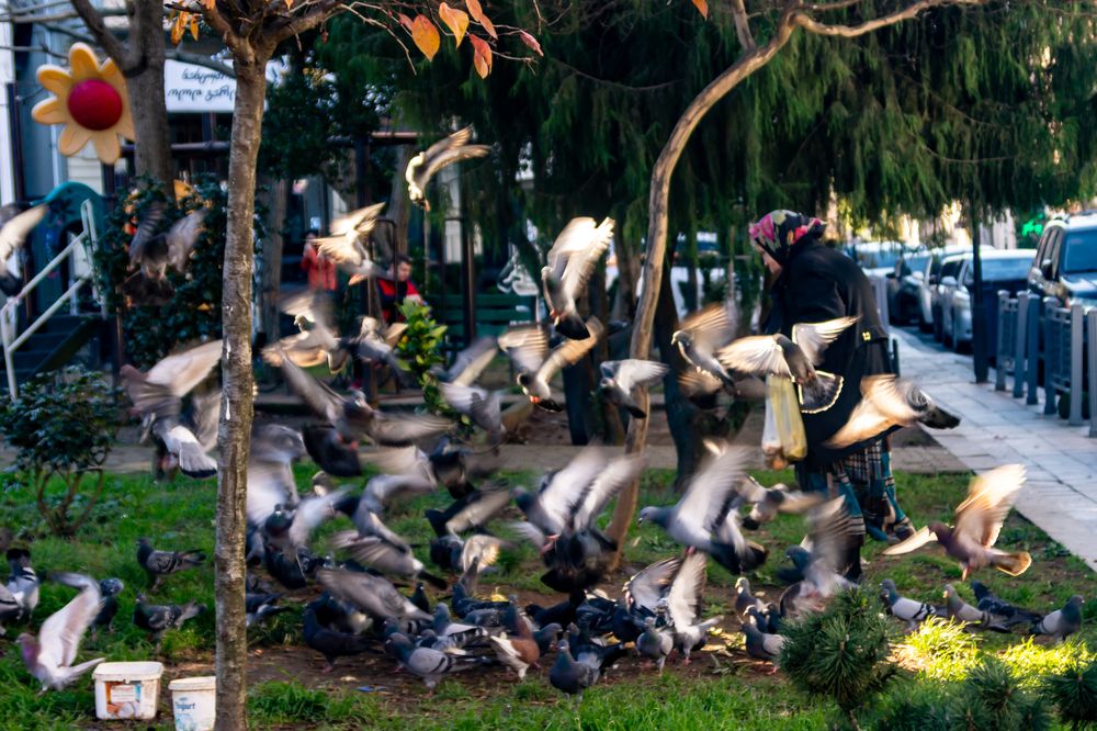 Photograph by Алексей Гуськов