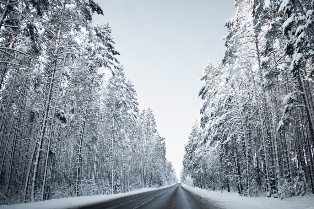 Photograph by Дарья Семёнова