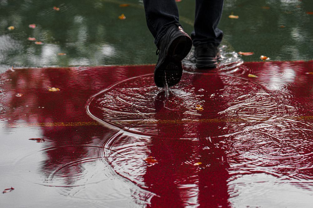 Photograph by Инесса Абрамова