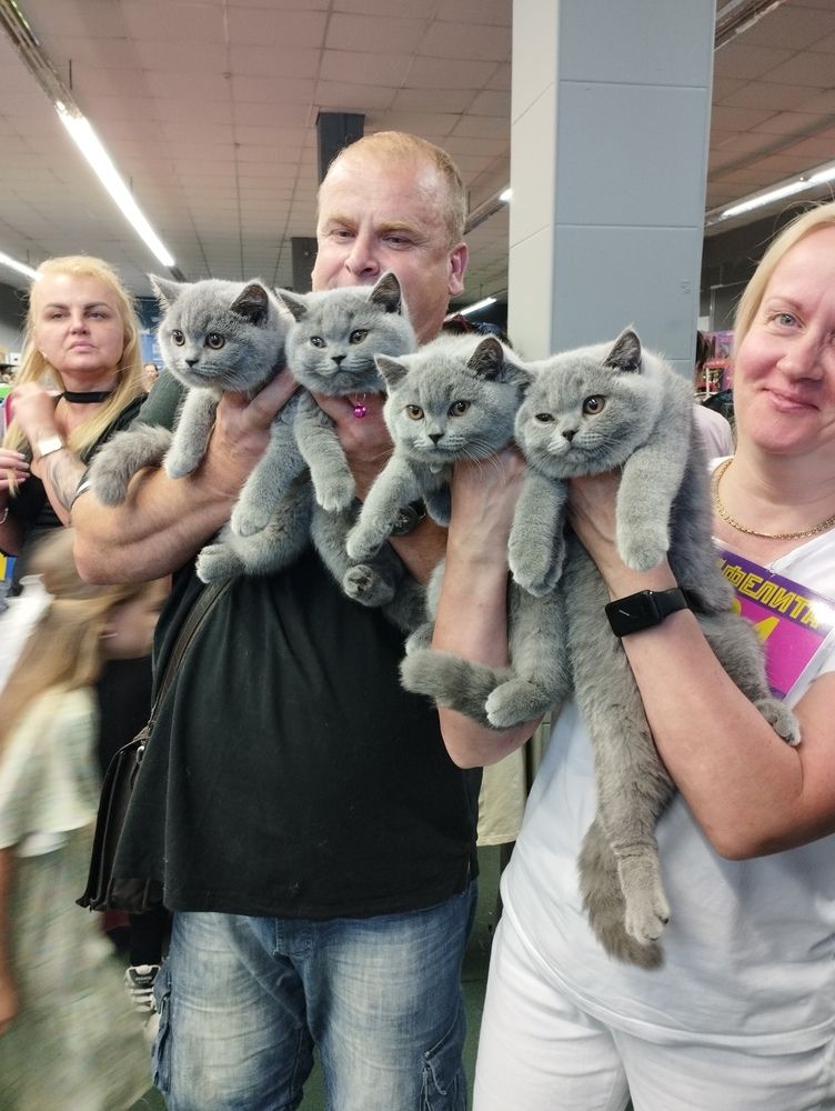 Photograph by Ия Дирко