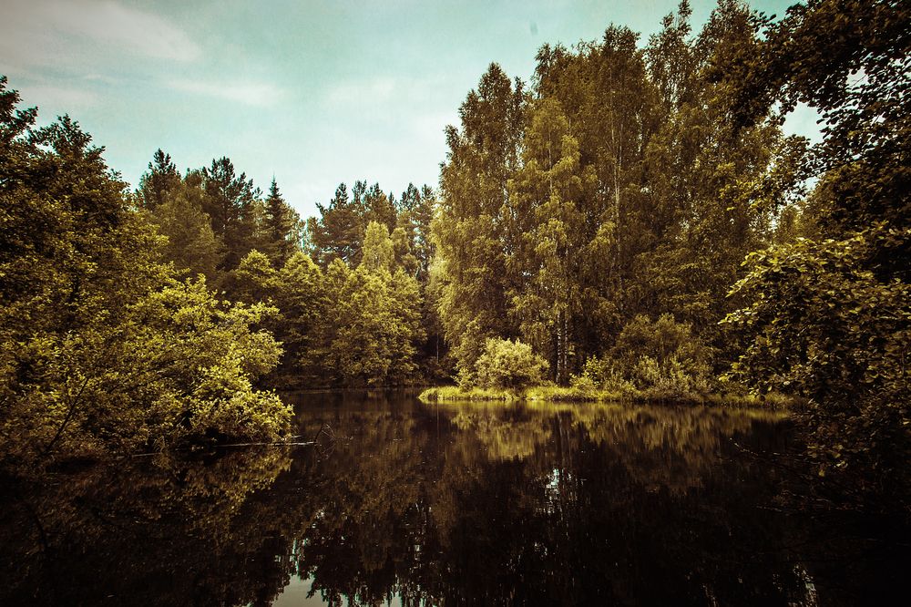 Фотография автора Мария Курицына