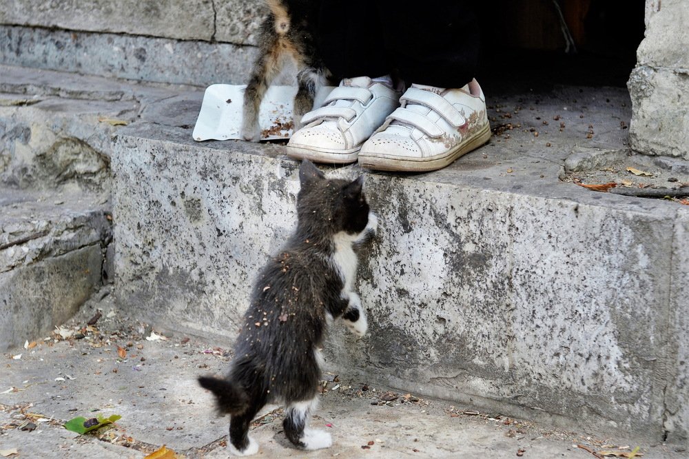 ноги Человека
