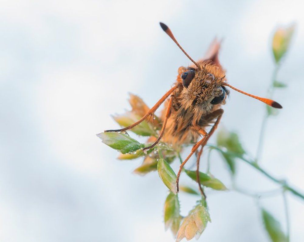 С теплым утром!
