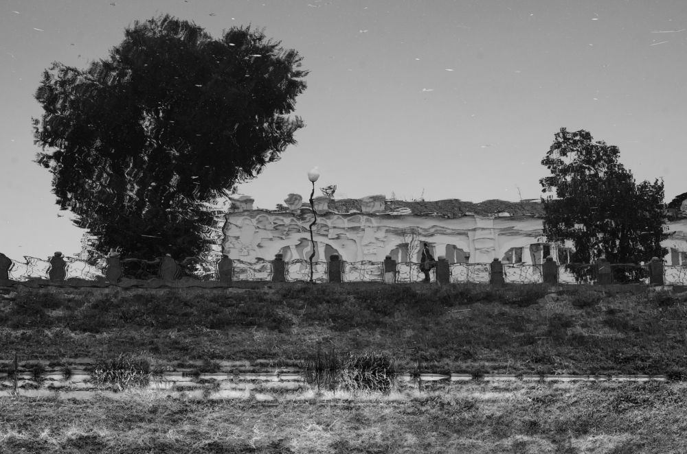 Алиса в зазеркалье