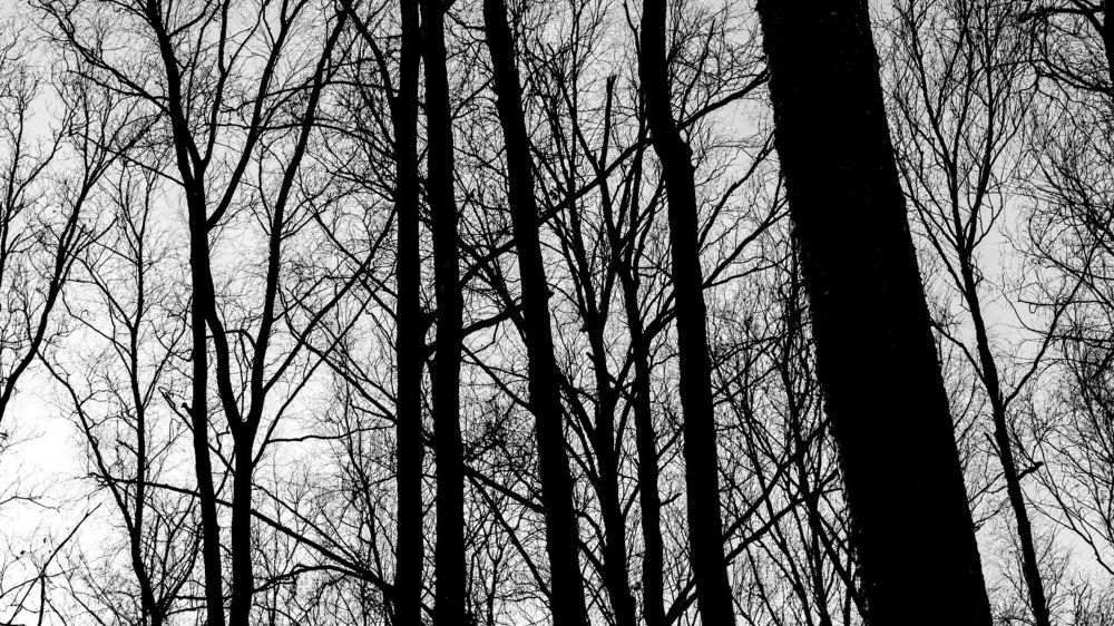 Photograph by Валерий