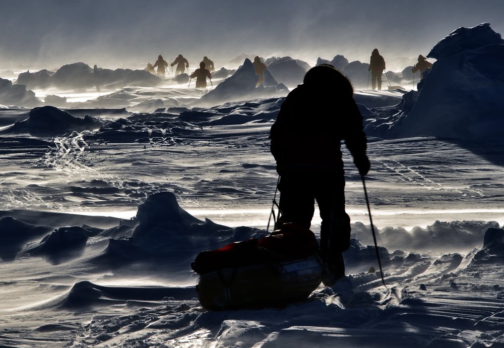 Покорители северного полюса.